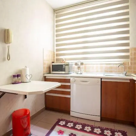 דירה Nisantasi Ana Cadde Uezeri Aydinlik Bueyuek איסטמבול